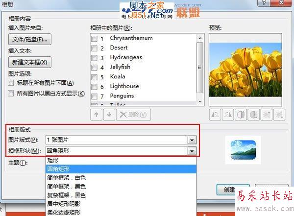 如何批量将图片快速导入到PowerPoint2013中