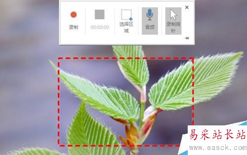 用 PowerPoint 录制记录软件操作过程的屏幕录像