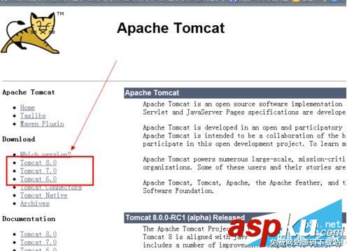 Tomcat,Tomcat安装,Tomcat配置