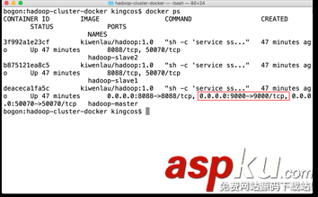 docker搭建hadoop集群,docker部署hadoop集群,docker,hadoop集群