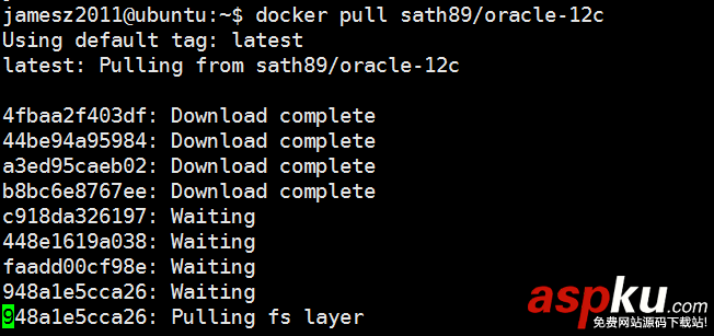 docker,安装oracle,docker下安装oracle,oracle