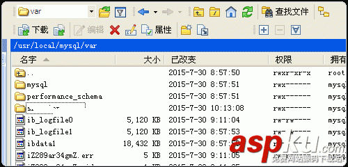 网站平滑迁移,LNMP,LAMP建站环境,vps面板