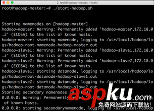 docker搭建hadoop集群,docker部署hadoop集群,docker,hadoop集群