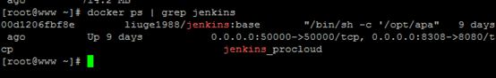 docker搭建jenkins,jenkins构建docker,docker,jenkins