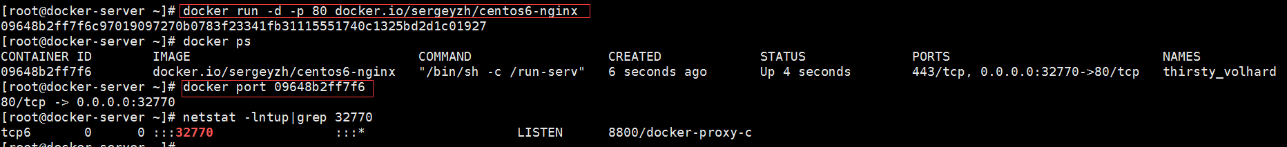 容器,Docker