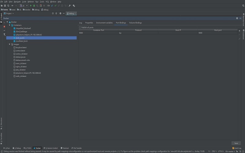 phpstorm,docker,脚本,debug