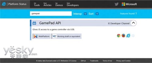 微软推IE Developer Channel 用户可尝鲜体验研发功能_天极yesky软件频道