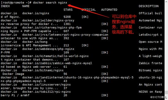 Docker,容器,内网,独立IP