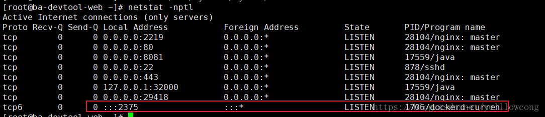 Docker,远程访问