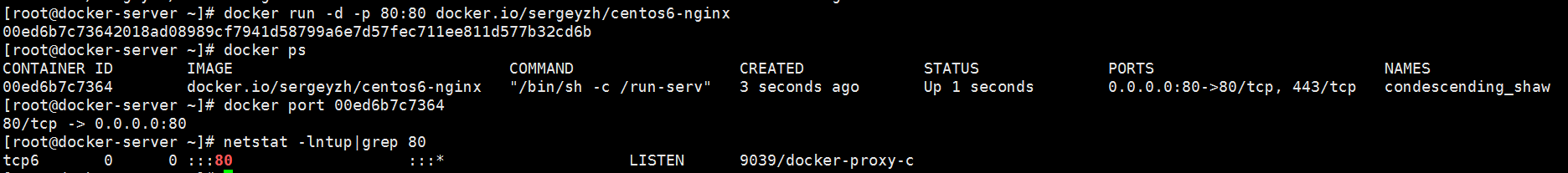 容器,Docker