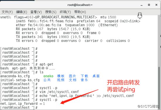 Docker,容器,内网,独立IP