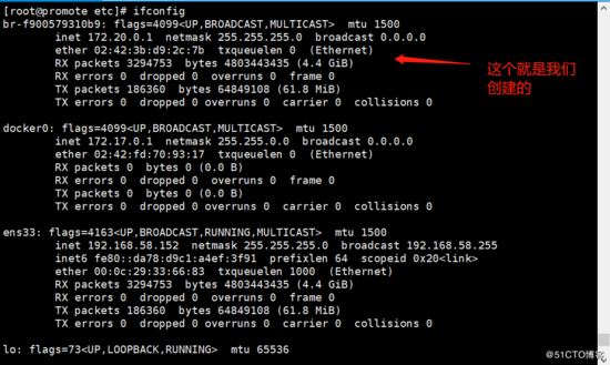 Docker,容器,内网,独立IP