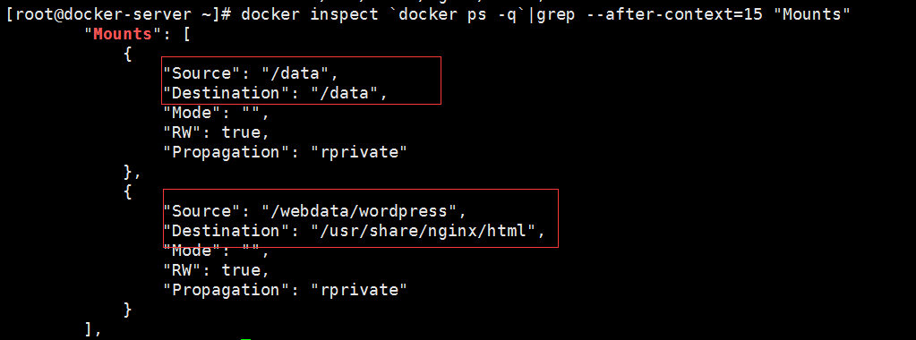 容器,Docker