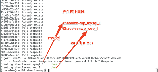 docker,一键安装,wordpress