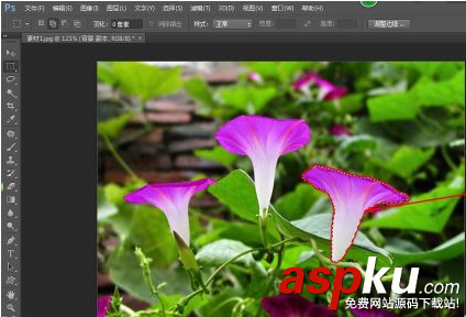 ps怎么给图片加马赛克 ps给图片打马赛克简单实用教程 ps,马赛克,图片
