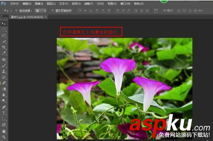 ps怎么给图片加马赛克 ps给图片打马赛克简单实用教程 ps,马赛克,图片