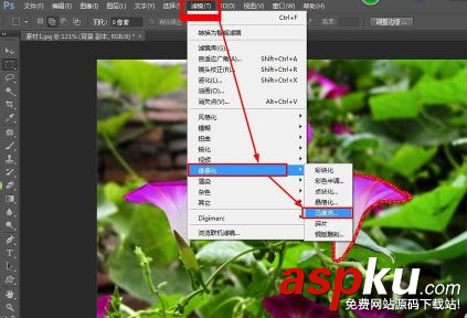 ps怎么给图片加马赛克 ps给图片打马赛克简单实用教程 ps,马赛克,图片