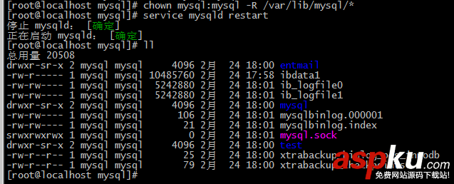 MySQL,备份,还原