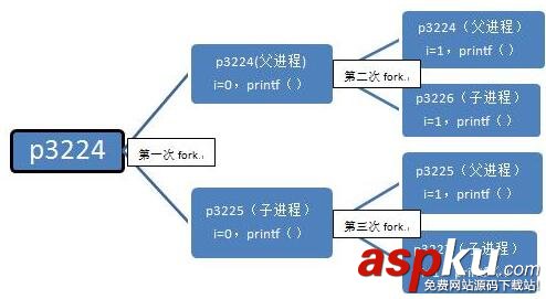 Linux,fork