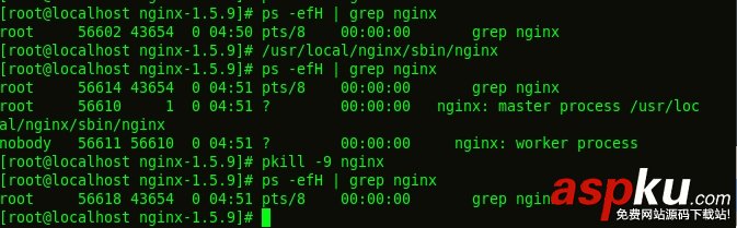 linux下安装nginx,linux,yum安装nginx,nginx,安装