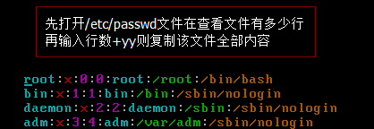 linux,vi编辑器