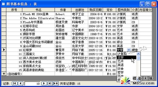 1小时学会Access 轻松打造图书管理系统