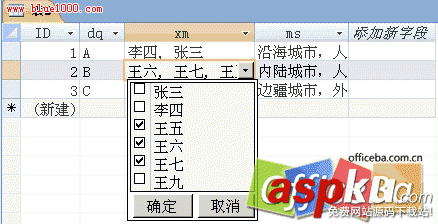 在Access2007中使用“多值”实现文字的sum