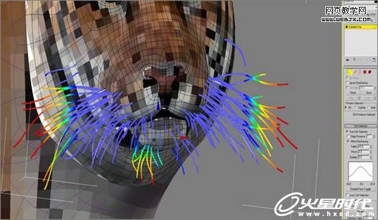 3dsmax绘制毛色亮丽视觉冲击感强的3D老虎-Vevb.com