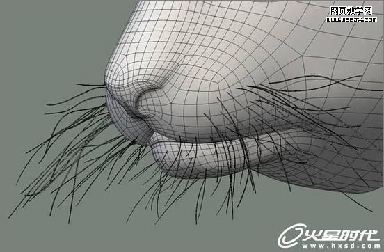 3dsmax绘制毛色亮丽视觉冲击感强的3D老虎-Vevb.com