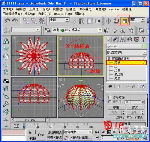 3ds max毛发修改器制作逼真仙人球