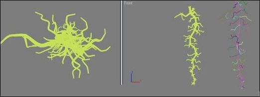 3ds max教程:制作饱满多汁葡萄_网页设计VeVb.com整理