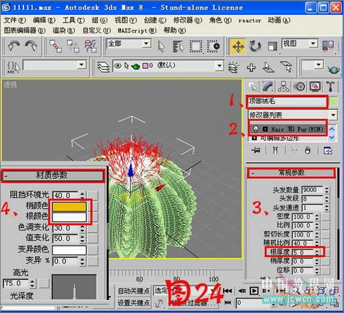 3ds max毛发修改器制作逼真仙人球