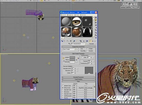 3dsmax绘制毛色亮丽视觉冲击感强的3d老虎-VeVb.com
