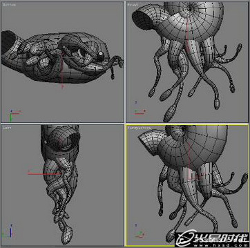 3dsmax教程:打造逼真的海底光影效果和深海动物