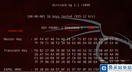 bt5无线密码破解教程 wpa/wpa2-psk型无线密码破解教程