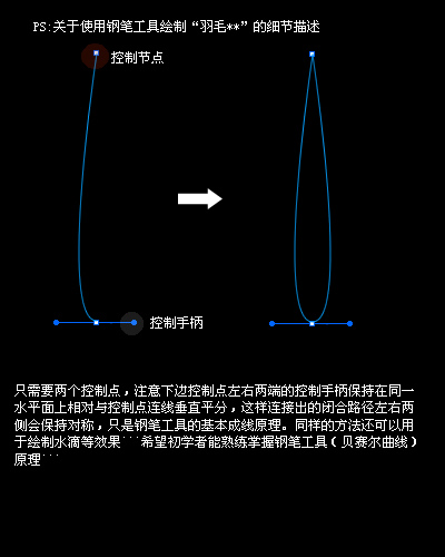 fireworks教程：绘制一把漂亮的羽毛扇_www.jcwcn.com