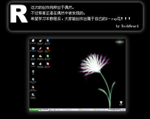 fireworks制作x－ray暗黑中的花朵
