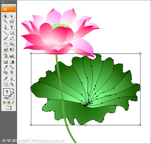 illustrator cs3鼠绘教程：绘制漂亮的矢量荷花图_网页设计