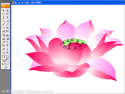 illustrator cs3鼠绘教程：绘制漂亮的矢量荷花图_网页设计